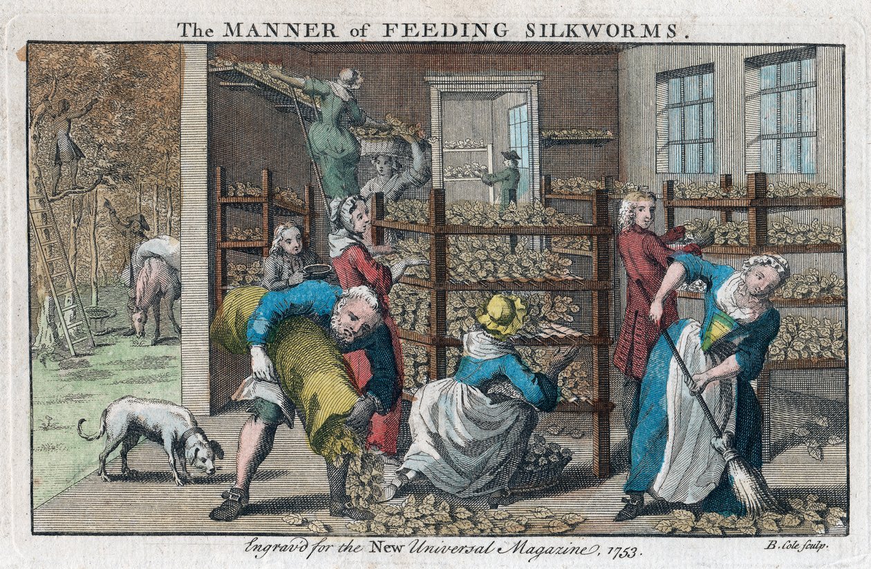 A selyemhernyók etetésének módja, 1753 alkotó: Benjamin Cole