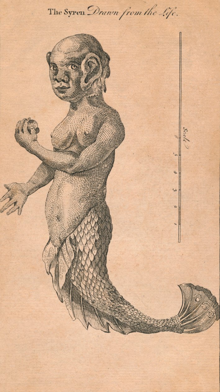 Az életből merített szirén, 1759 alkotó: Benjamin Cole