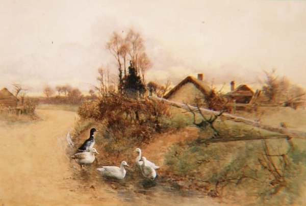 Dabbling kacsák alkotó: Benjamin D. Sigmund