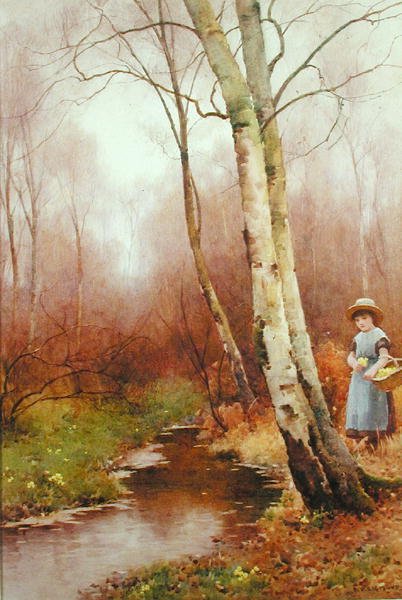 Primroses gyűjtése alkotó: Benjamin D. Sigmund