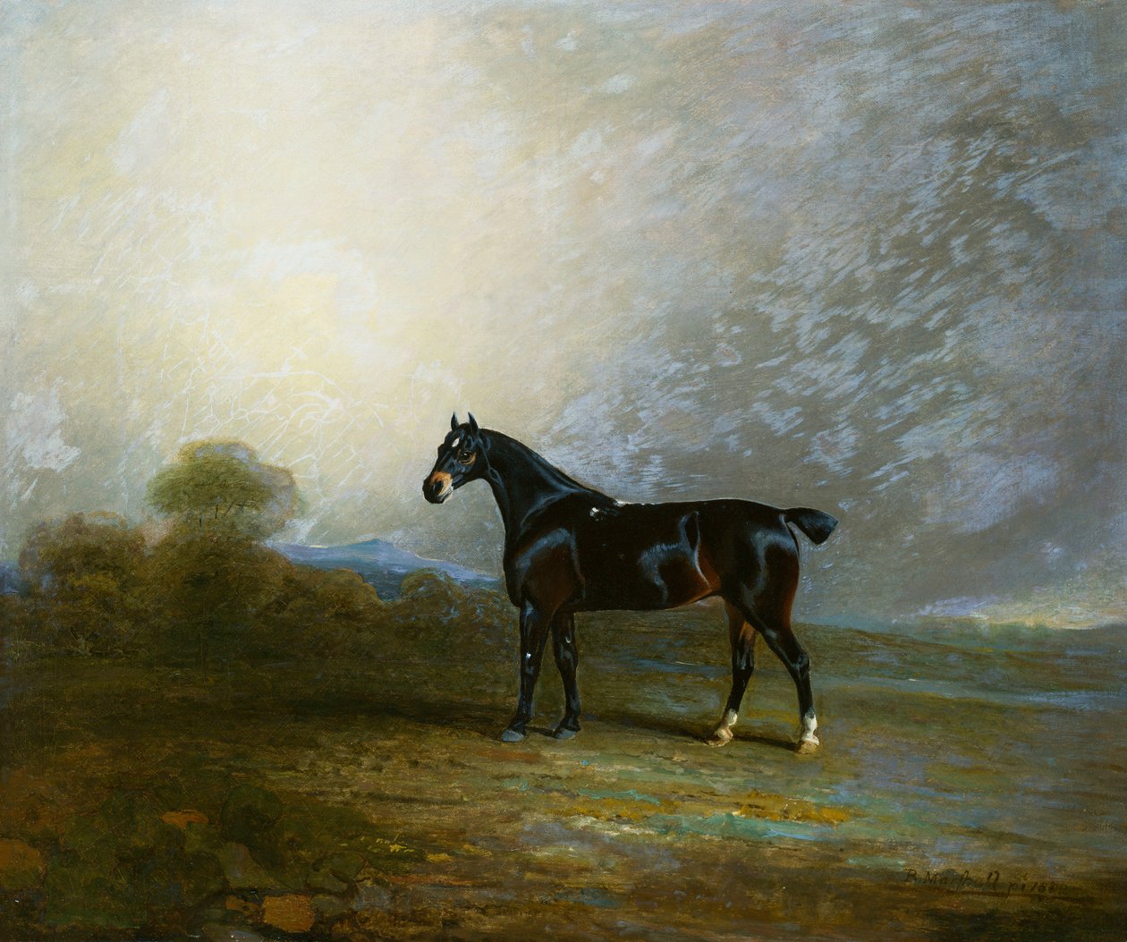 Bembo, Charles Shuttleworth kedvenc vadásza, Esq., 1802 alkotó: Benjamin Marshall