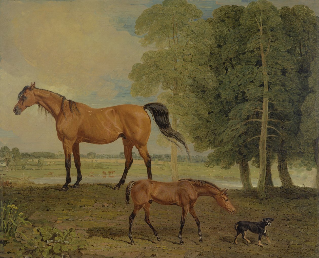 Broodmare csikóval és terrierrel (olaj, vászon) alkotó: Benjamin Marshall