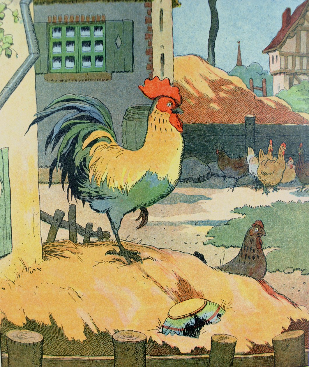 A kakas, illusztráció a „Le Buffon de Benjamin Rabier”-ből, átdolgozva Georges de Buffon (1707-88) „Histoire Naturelle” című művéből (színes metszet) alkotó: Benjamin Rabier