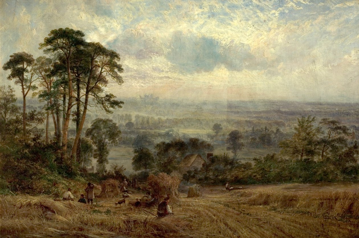 Cornfields, Wollaton Hall, Nottingham, 19. század alkotó: Benjamin Shipman