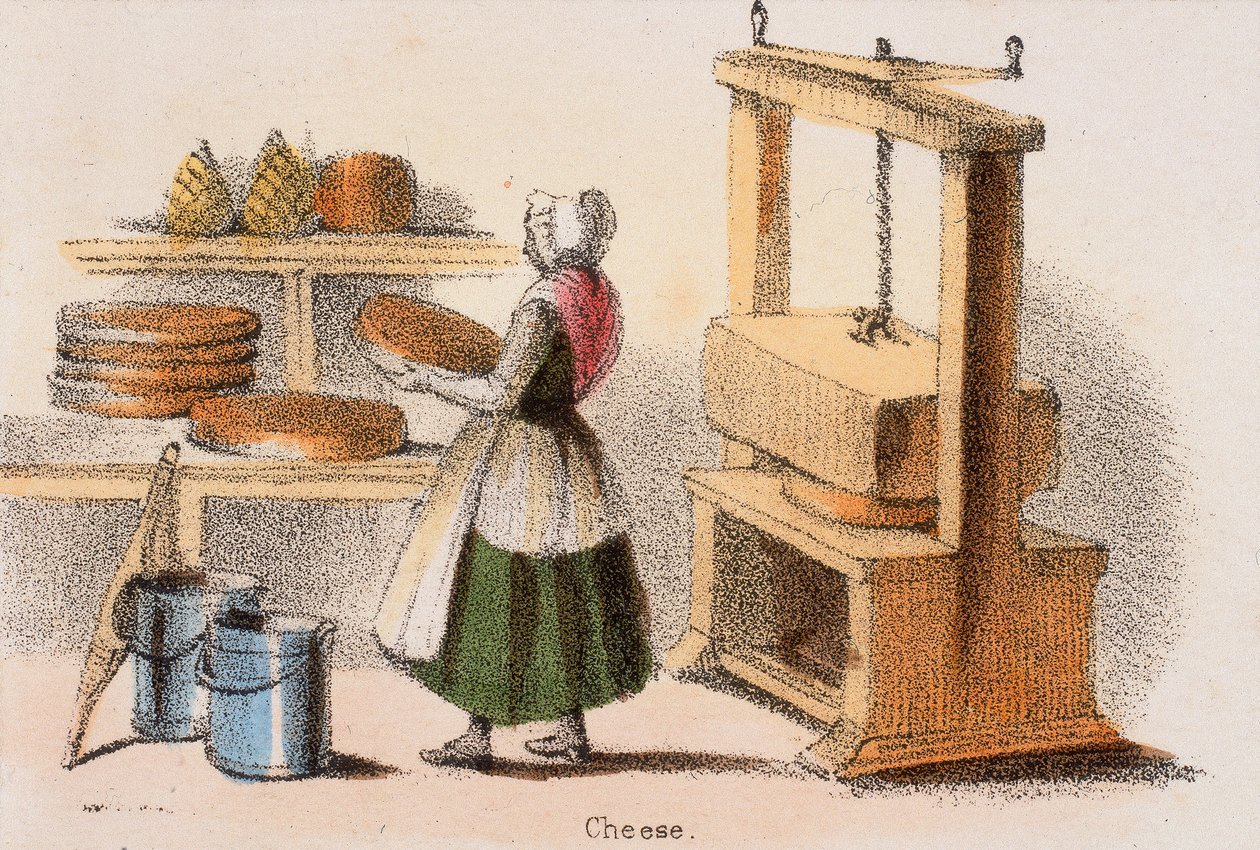 Sajt, c1845. alkotó: Benjamin Waterhouse Hawkins