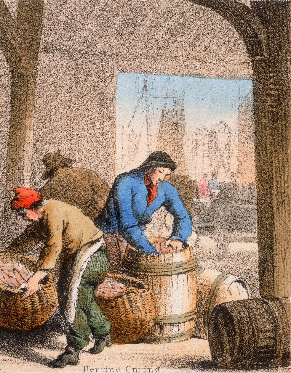 Hering Pácolás, c1845 alkotó: Benjamin Waterhouse Hawkins