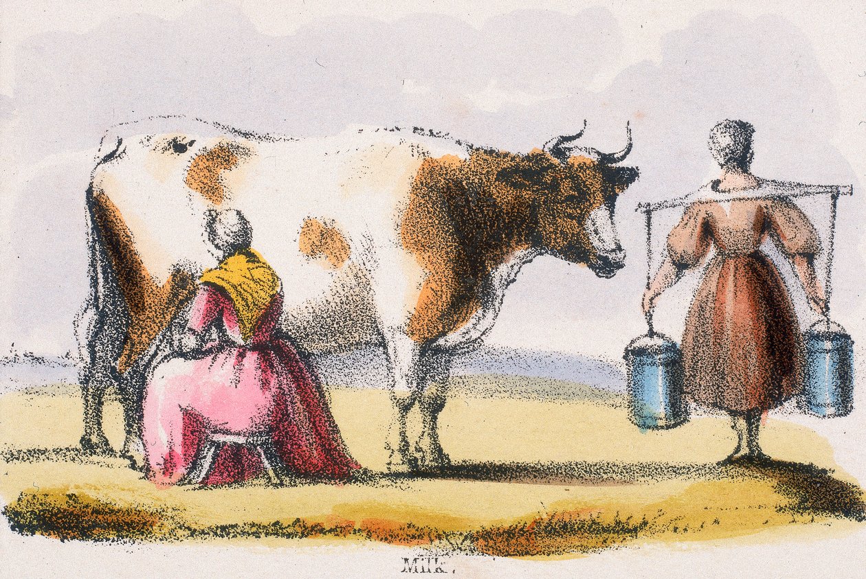„Tej”, c1845 alkotó: Benjamin Waterhouse Hawkins