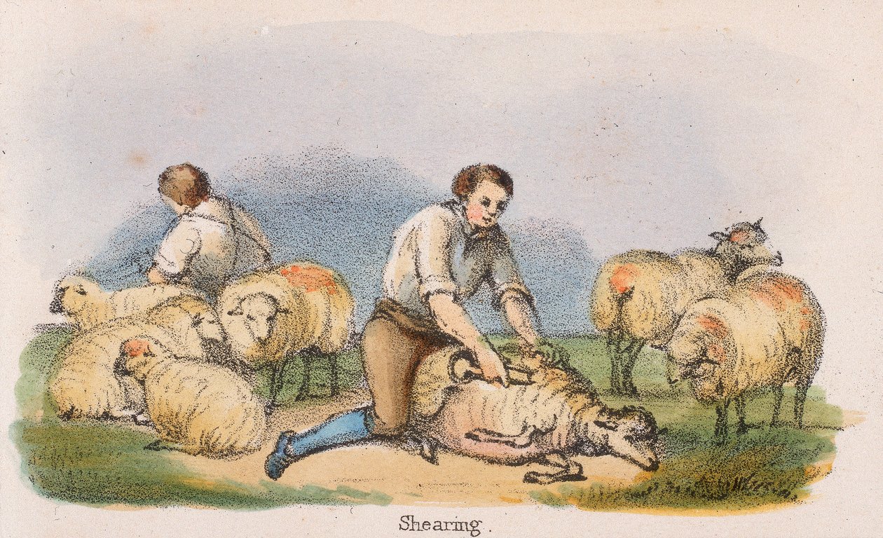 „Nyírás”, c1845 alkotó: Benjamin Waterhouse Hawkins