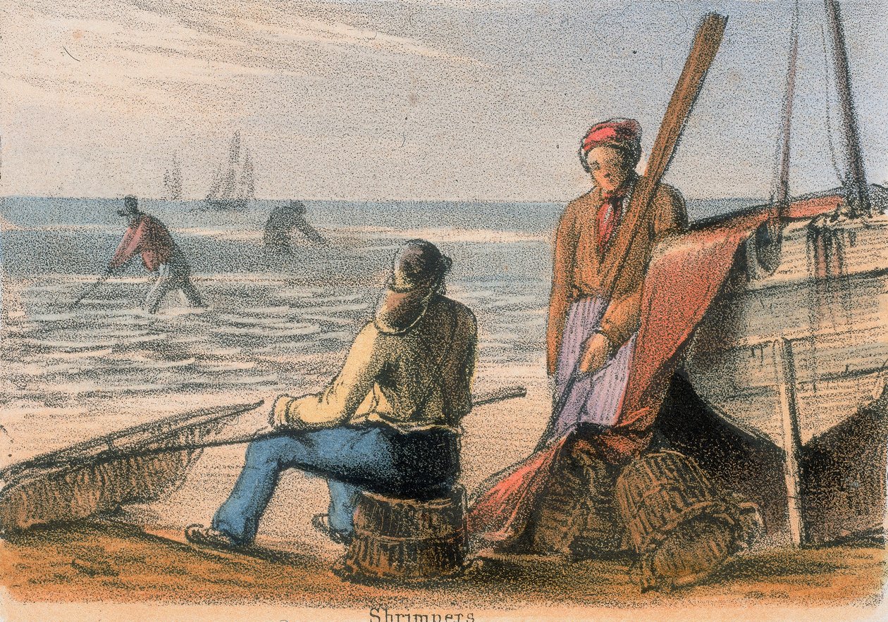 Garnélarák, 1845 alkotó: Benjamin Waterhouse Hawkins