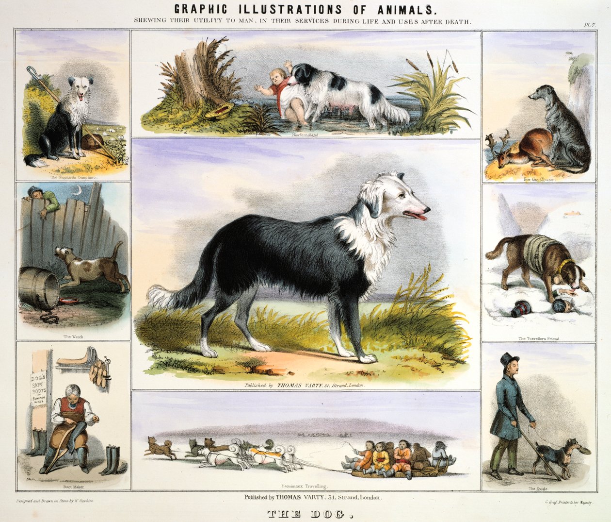 A kutya, c1850 alkotó: Benjamin Waterhouse Hawkins