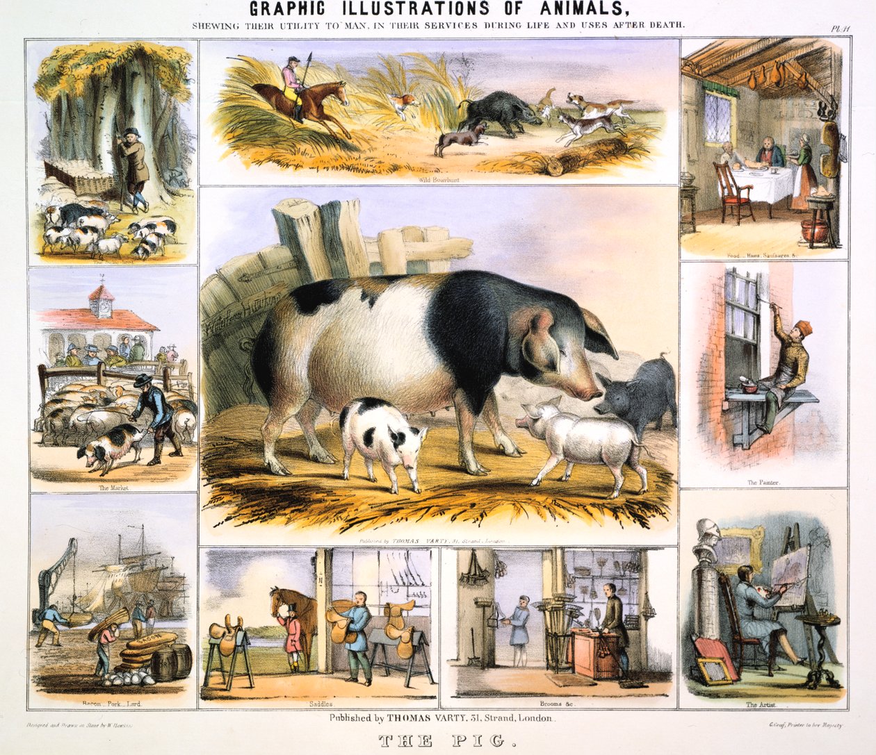 A malac, c1850 alkotó: Benjamin Waterhouse Hawkins