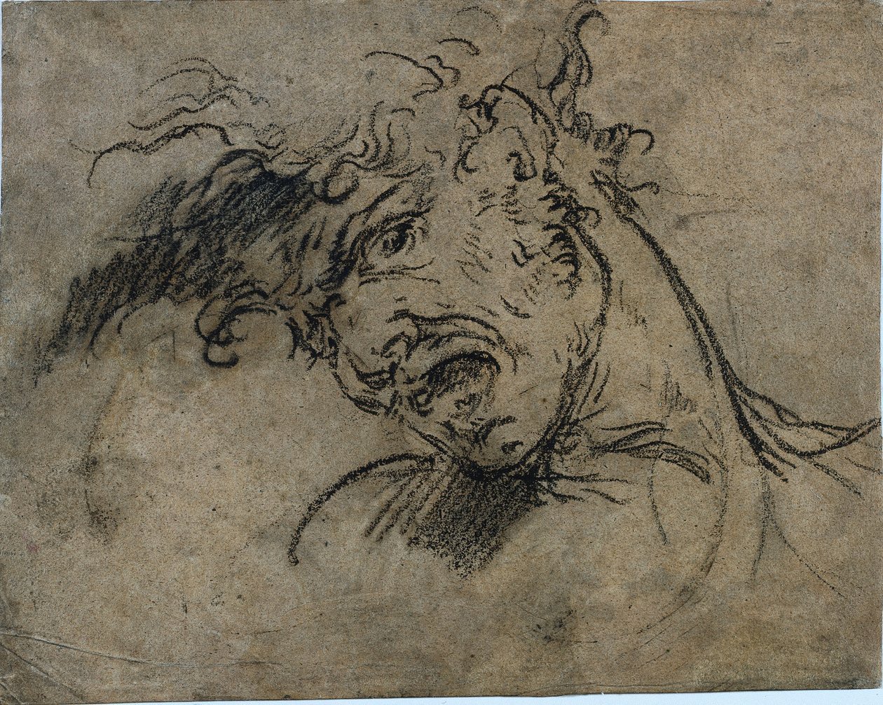 Egy sikoltozó ember feje (recto) alkotó: Benjamin West