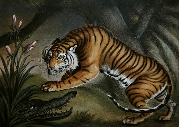 Tigris és krokodil, 1810 körül (homokos kép a fedélzeten) alkotó: Benjamin Zobel