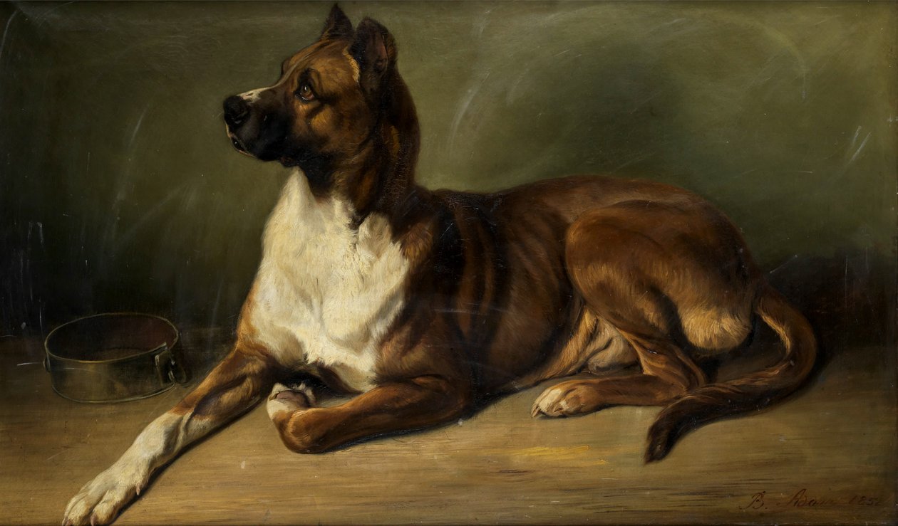 Benno Adam Egy kutya portréja 1852 alkotó: Benno Adam