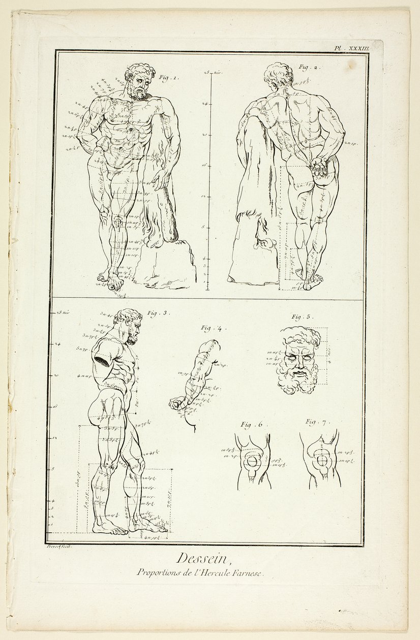Tervezés: Encyclopédie: A Farnese Hercules arányai, az Encyclopédie-ból. alkotó: Benoit Louis Prevost