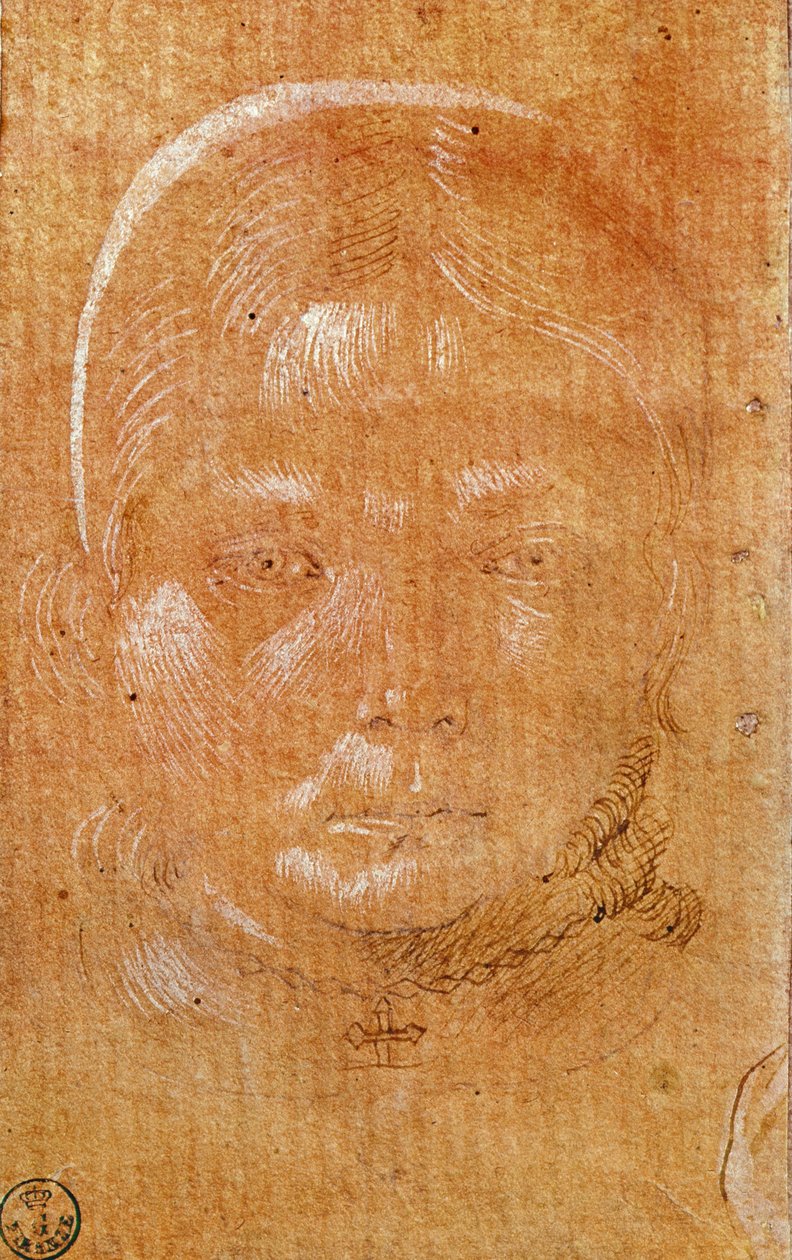 Fiatal lány feje (kréta és tus, papír) alkotó: Benozzo di Lese di Sandro Gozzoli