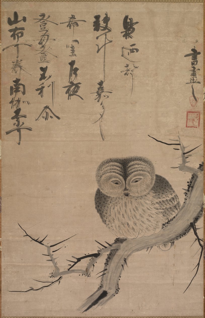 Bagoly, 1630-1640. alkotó: Bensaku Tsuda