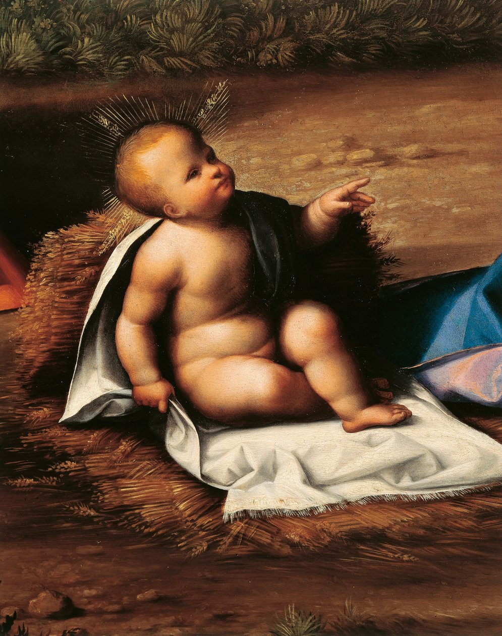 Kis Jézus, részlet Garofalo születéséből (1481-1559) alkotó: Benvenuto Tisi da Garofalo