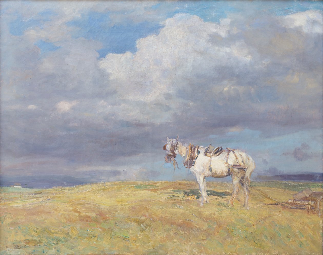 Fehér ló, 1910 körül (olaj, vászon) alkotó: Beppe Ciardi