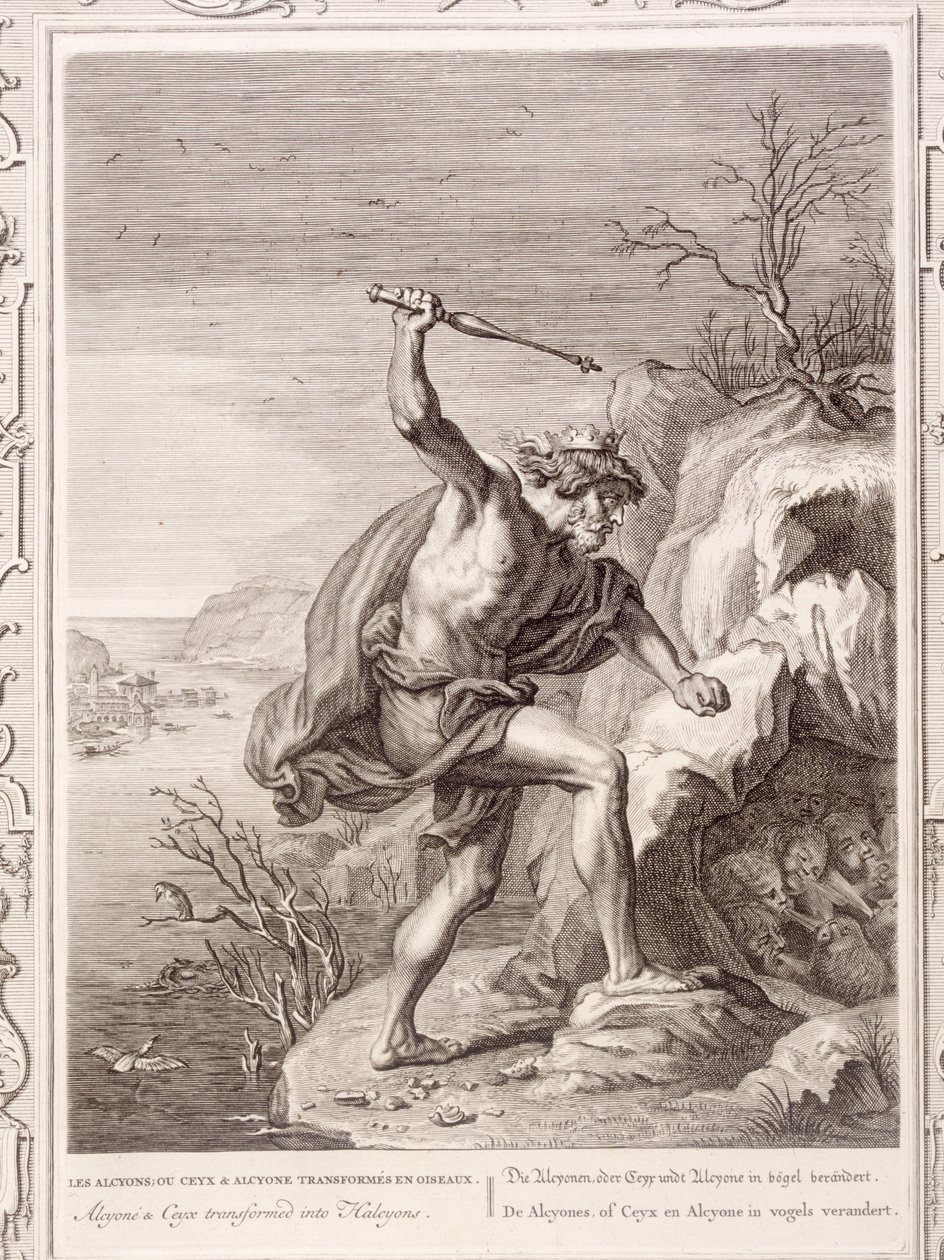 Alcyone és Ceux madarakká változott, 1730 alkotó: Bernard Picart
