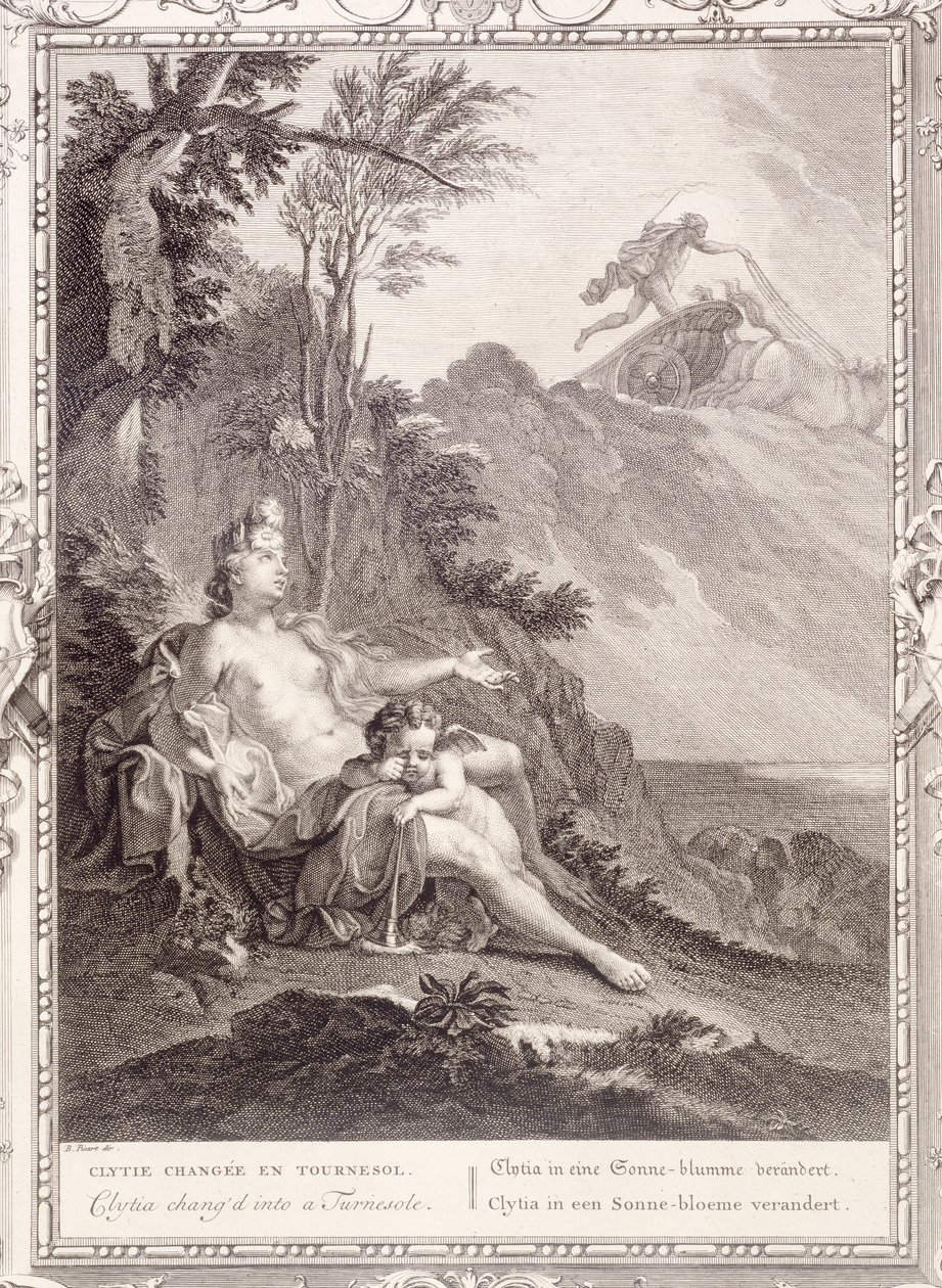 Clytia forgataggá változott, 1731 alkotó: Bernard Picart