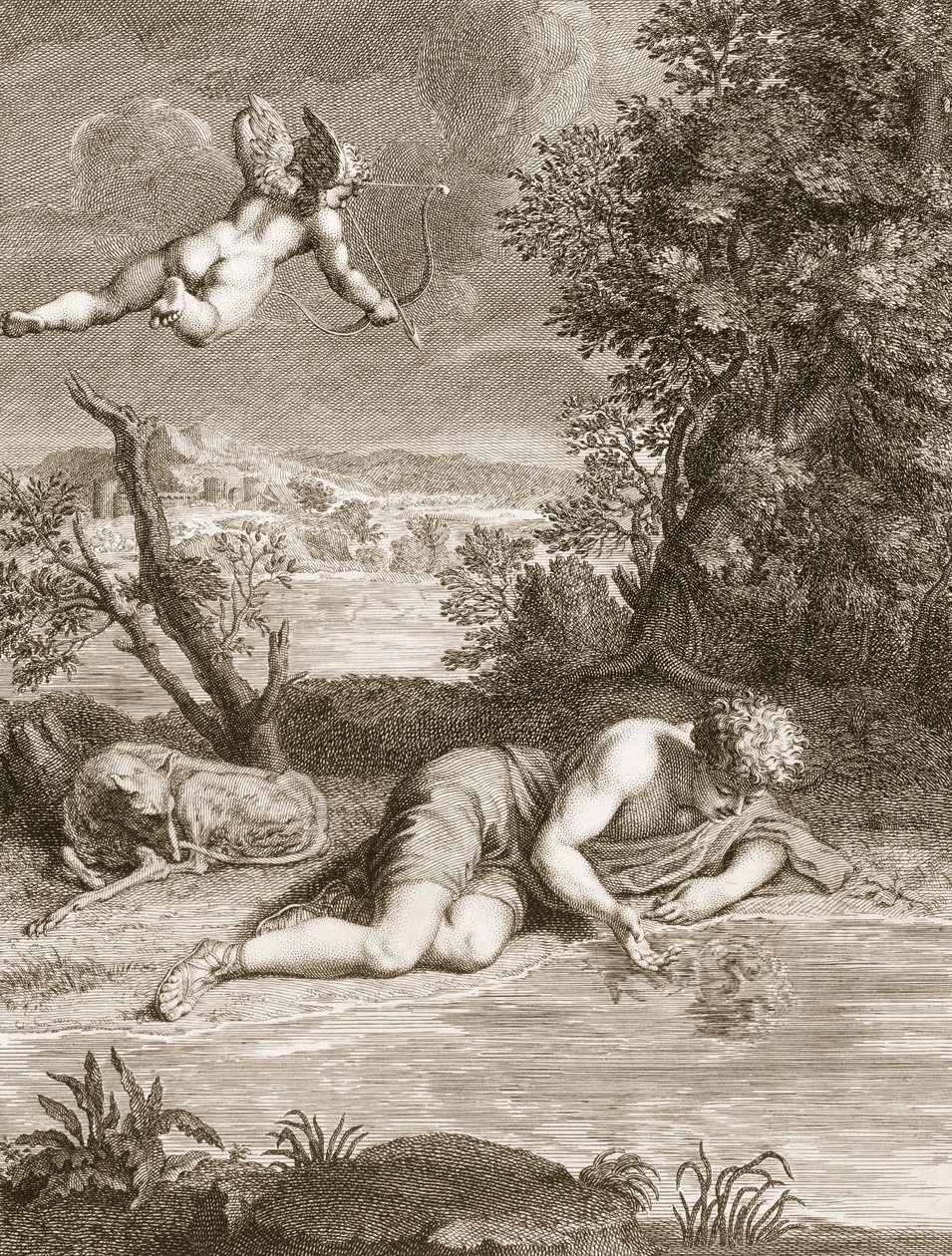 Virággá változott Nárcisz, 1730 alkotó: Bernard Picart
