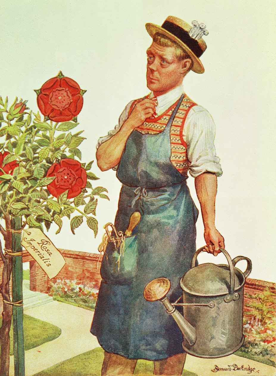 Walesi herceg, később VIII. Edward (nyomtatás) alkotó: Bernard Partridge