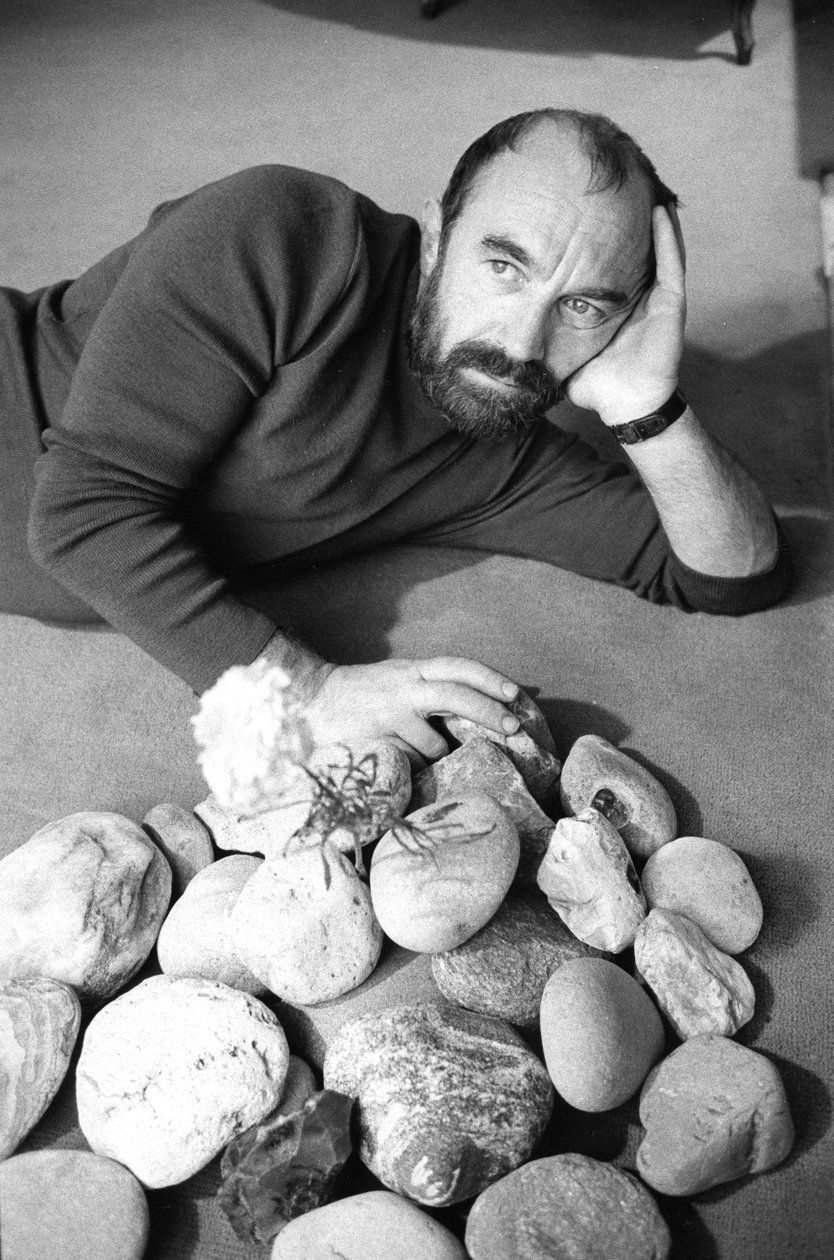 Bernard PARMEGIANI alkotó: Bernard Perrine