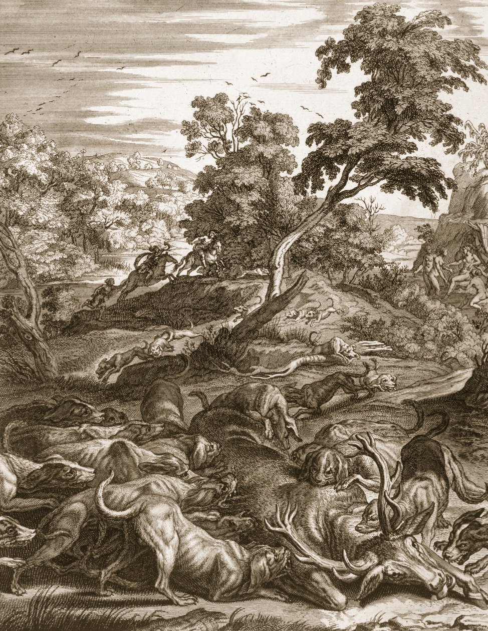 Az Actaeon szarvasszarvúvá változott, és a kopói felfalták, 1731 alkotó: Bernard Picart