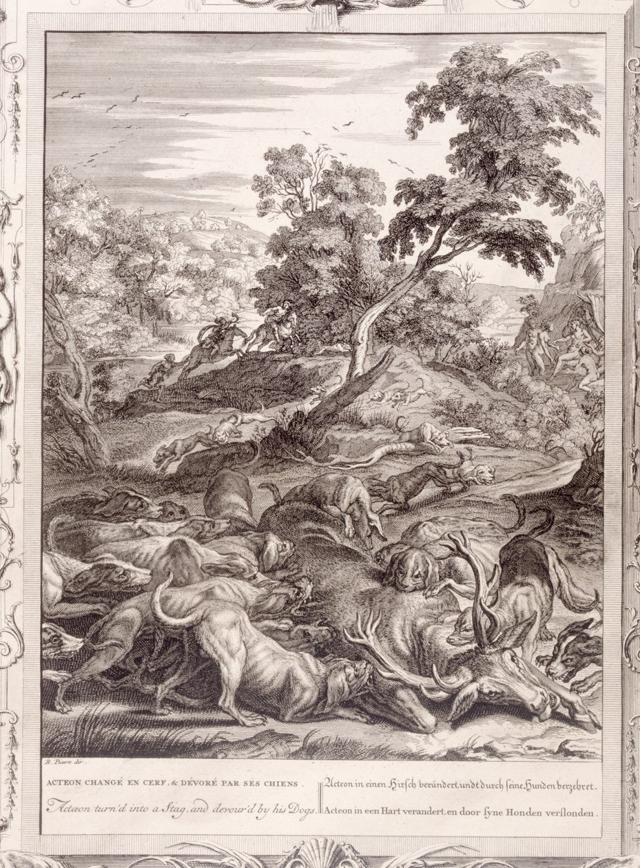 Actaeon szarvassá változott és felfalták a kutyái, 1731 alkotó: Bernard Picart