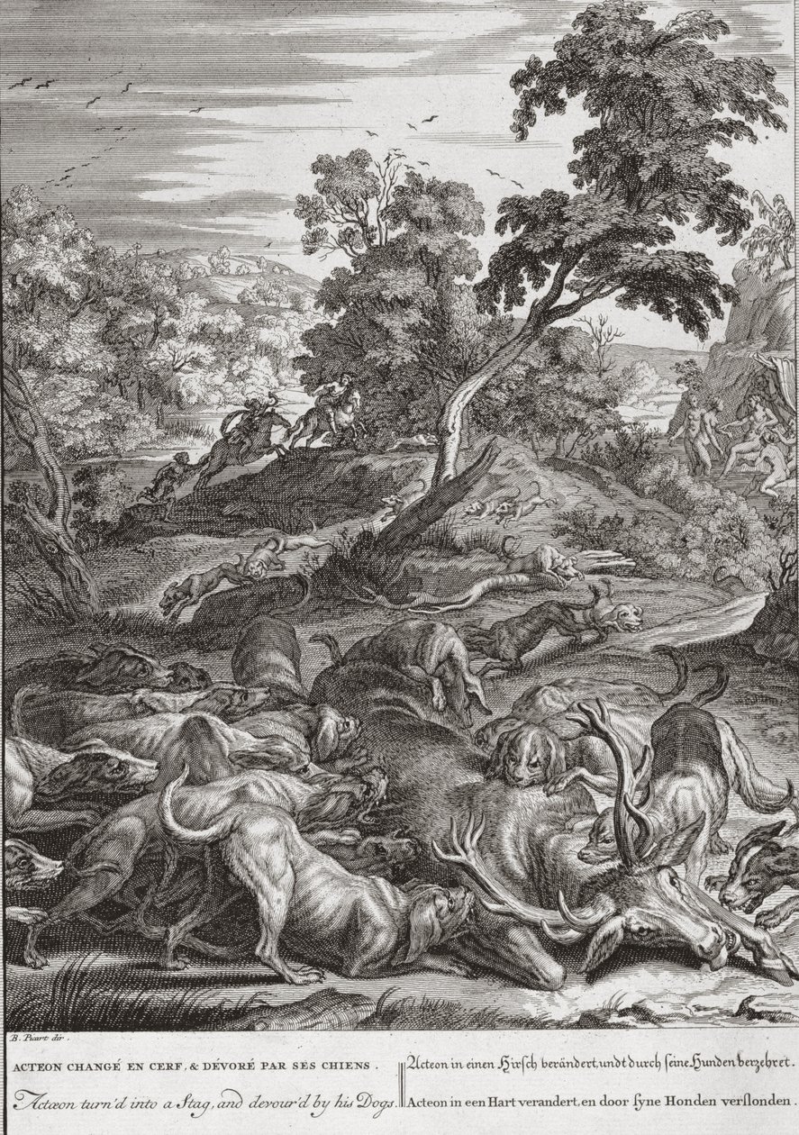 Actaeon szarvasbikává változott, és felfalták a kutyái, 1731 alkotó: Bernard Picart