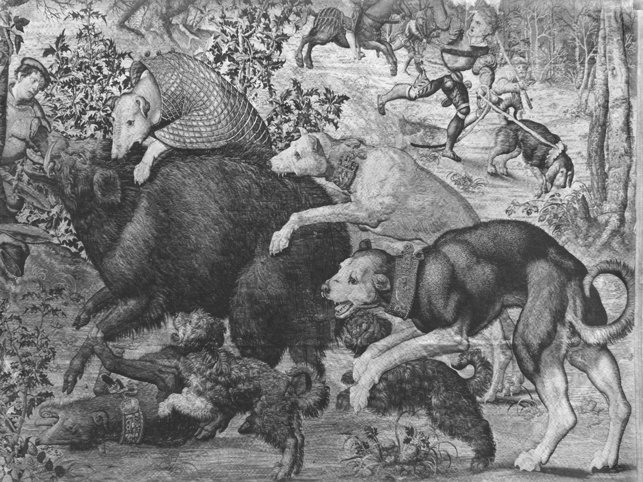 Maximilianus vadászatai, Bak, A vadkanvadászat, a vadkanra támadó kutyák részlete, Gobelins Factory lásd még 138999, 345944 faliszőnyeg kétoldalas fotó alkotó: Bernard van Orley