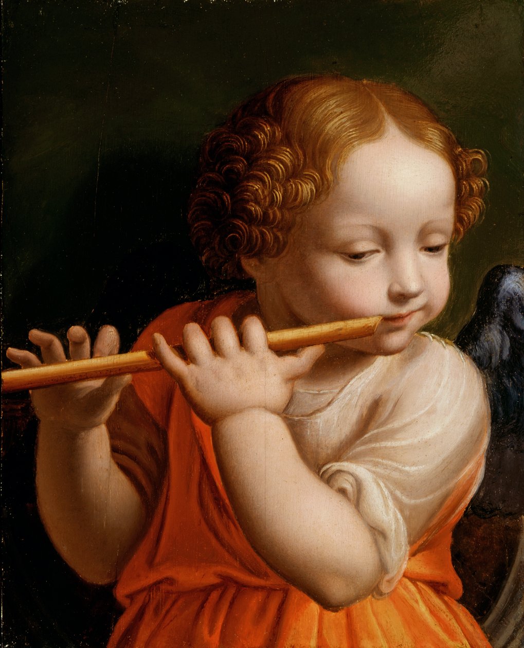 Furulyázó gyermekangyal, 1500 körül alkotó: Bernardino Luini