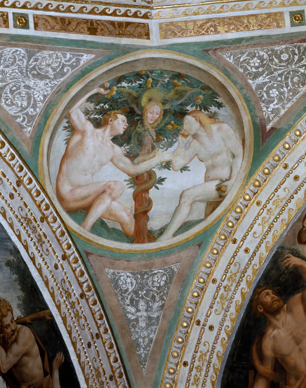 Eredeti bűn, a kupola pendentivéből, 1532-36 alkotó: Bernardino Luini