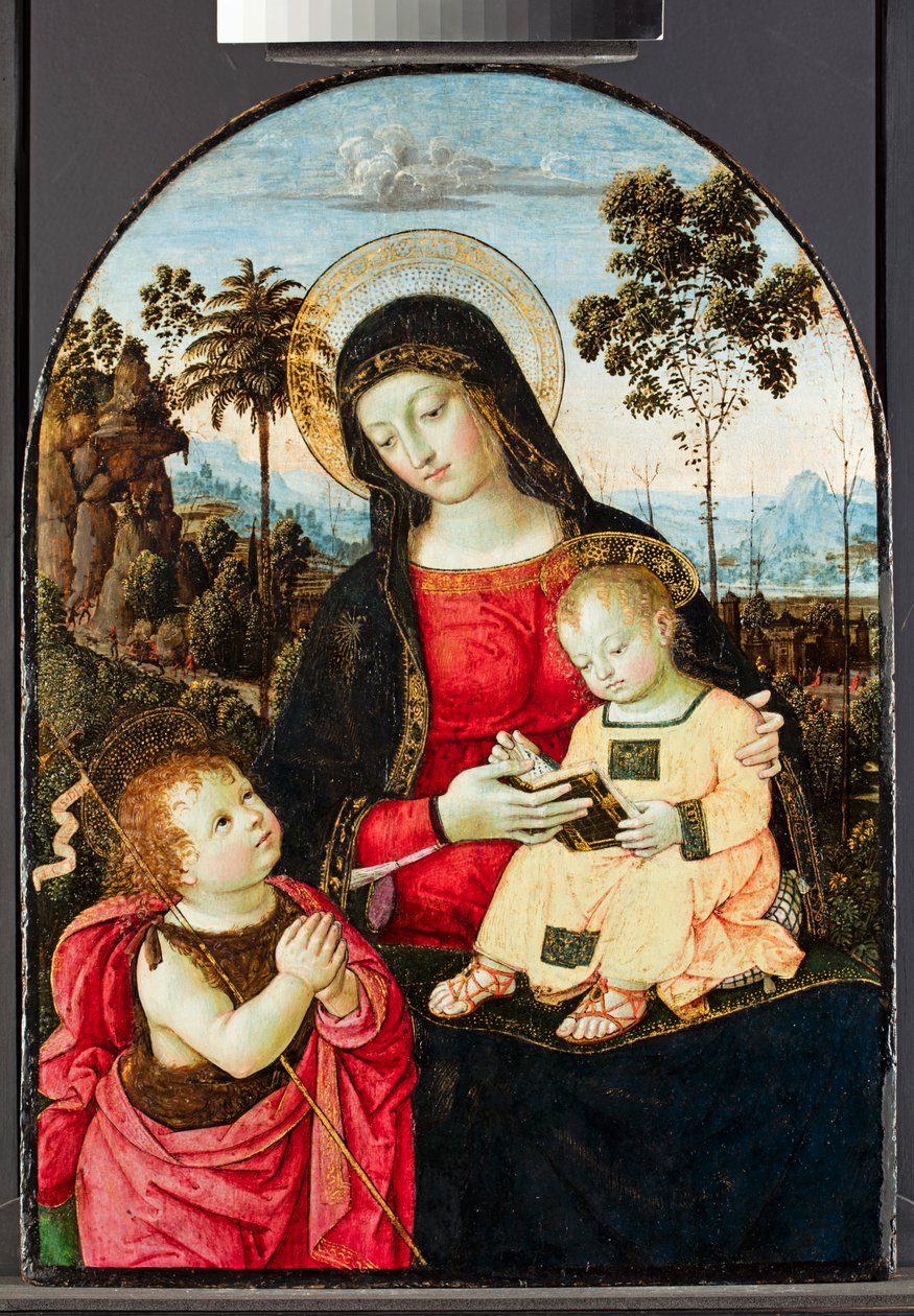 Szűz és gyermek Keresztelő Szent Jánossal, 1490-95 (tempera olajjal, mázzal és arannyal a táblán) alkotó: Bernardino di Betto Pinturicchio