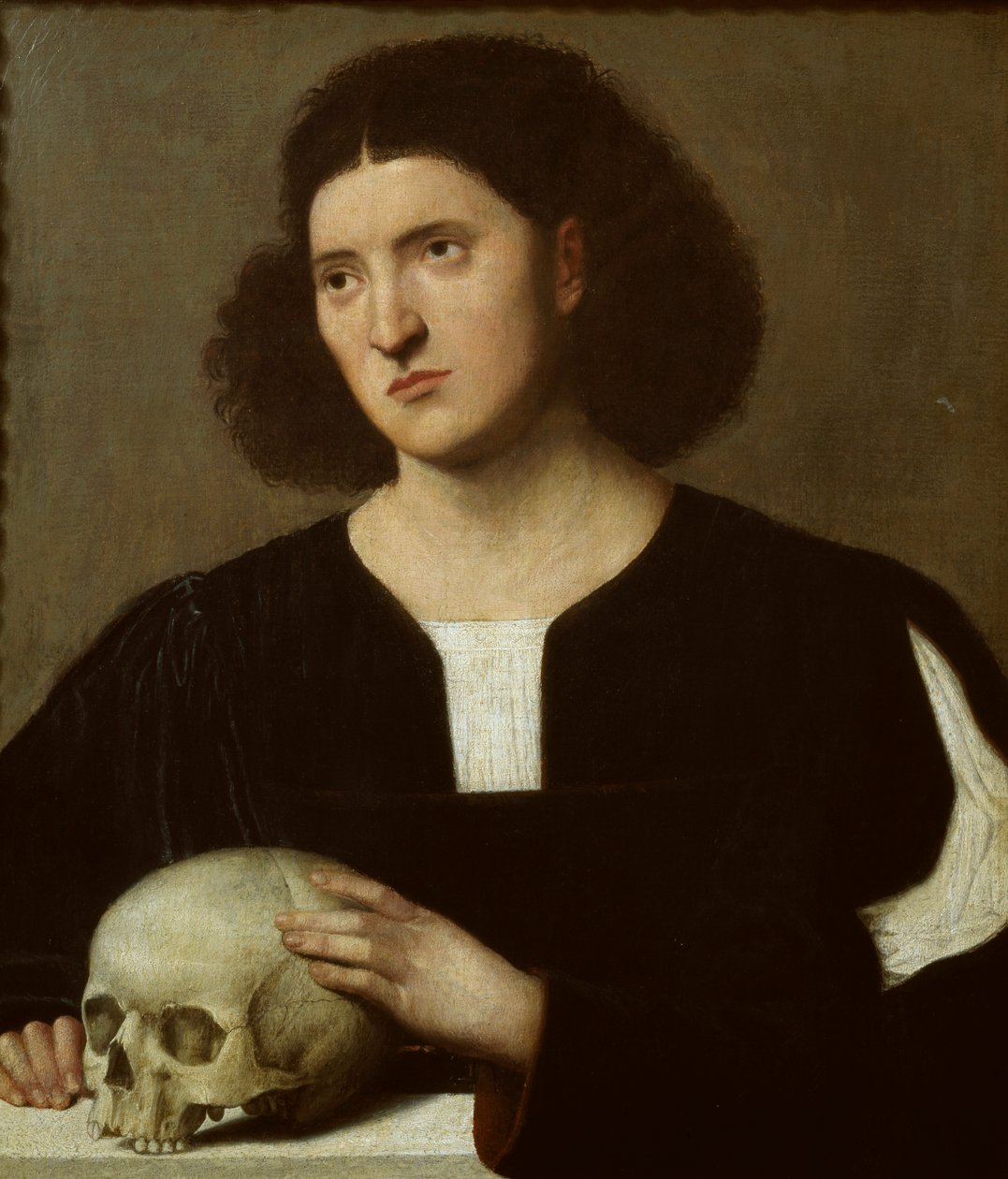 Koponyás fiatalember portréja, c1510-1515 alkotó: Bernardino Licinio