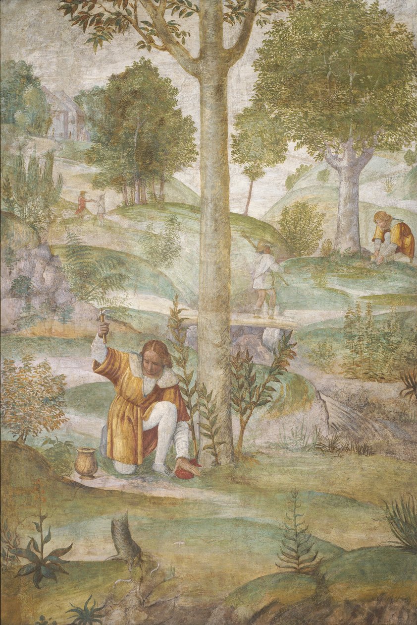 Az ékszereket rejtő Cephalus c. 15201522. alkotó: Bernardino Luini