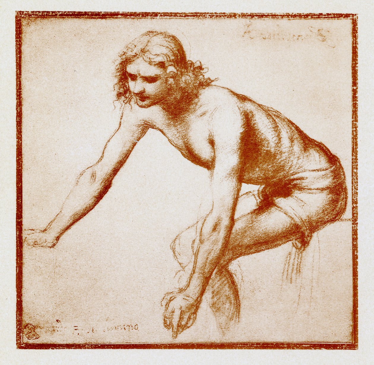 Fiatal férfi ábratanulmánya alkotó: Bernardino Luini