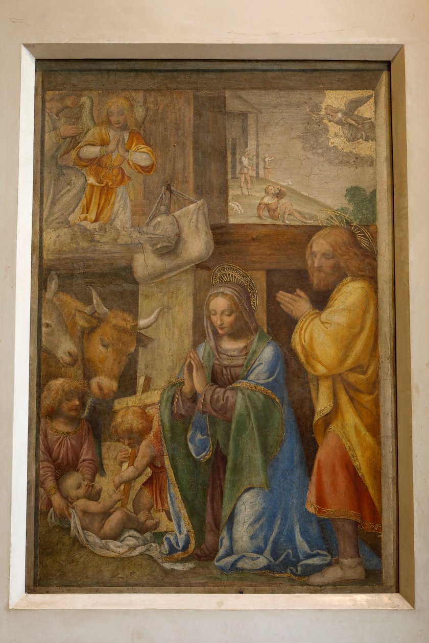 Születés és a pásztorok imádása, c. 1520-1525 (olaj a panelen) alkotó: Bernardino Luini