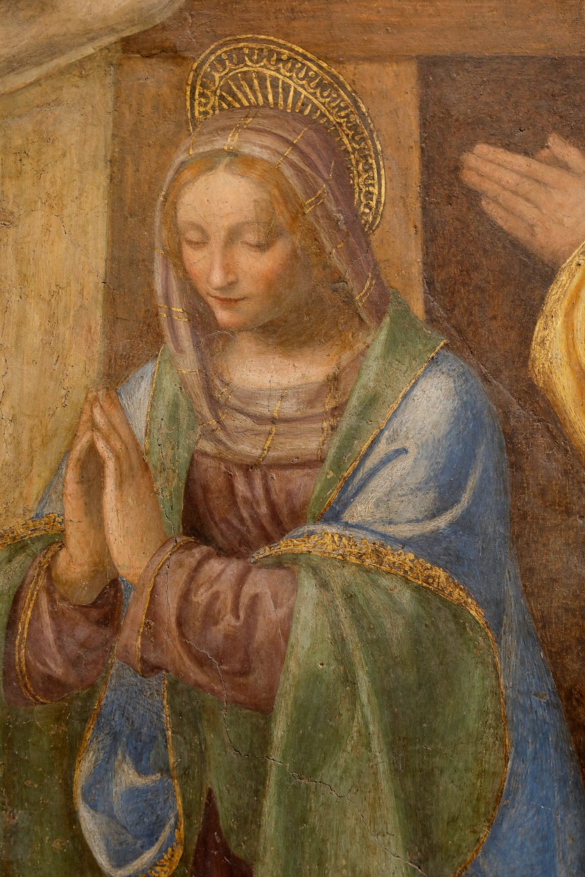 Születés és a pásztorok imádása, c. 1520-1525. Részlet (olaj a panelen) alkotó: Bernardino Luini