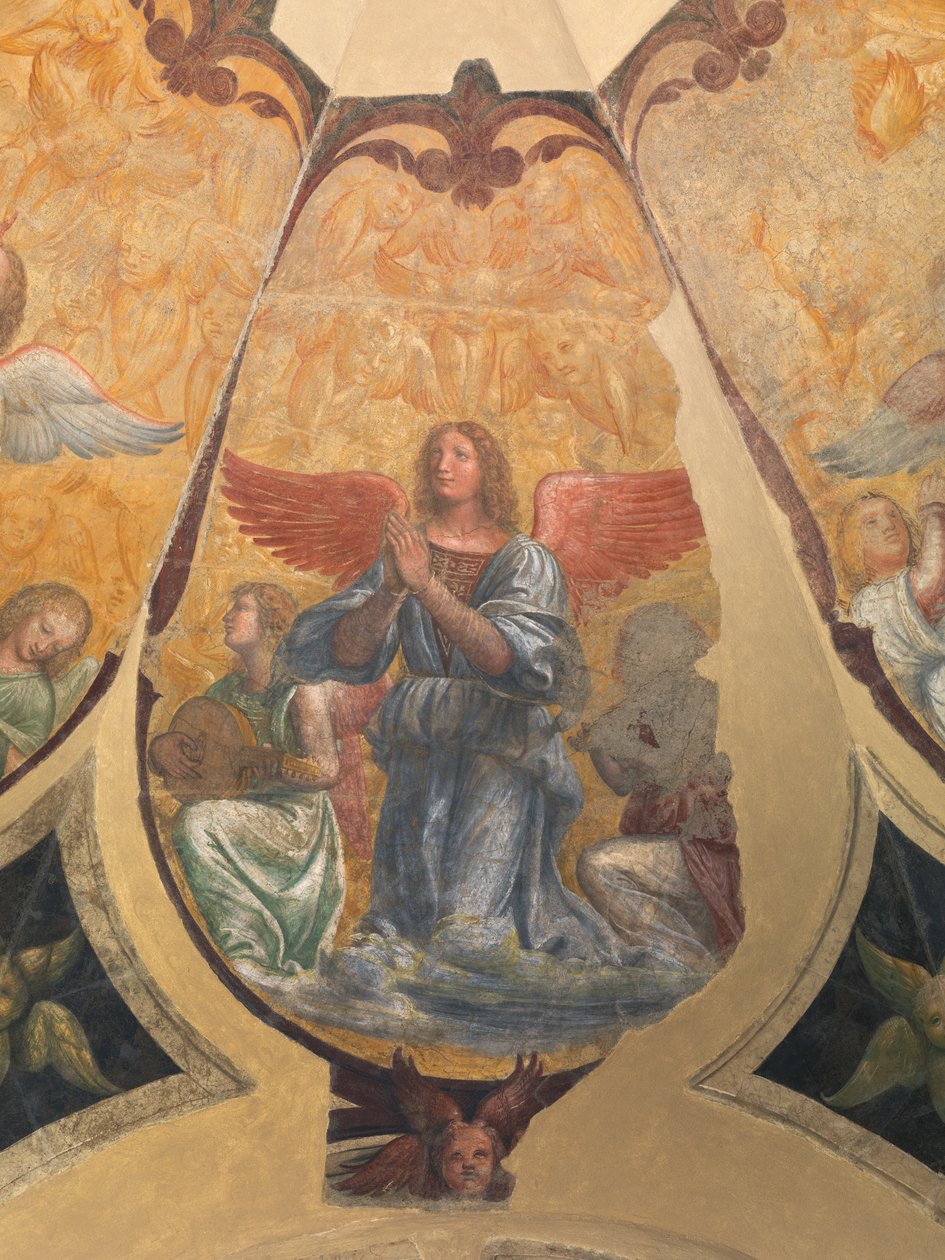 Imádkozó angyal két térdelő zenész és kerub között alkotó: Bernardino Luini