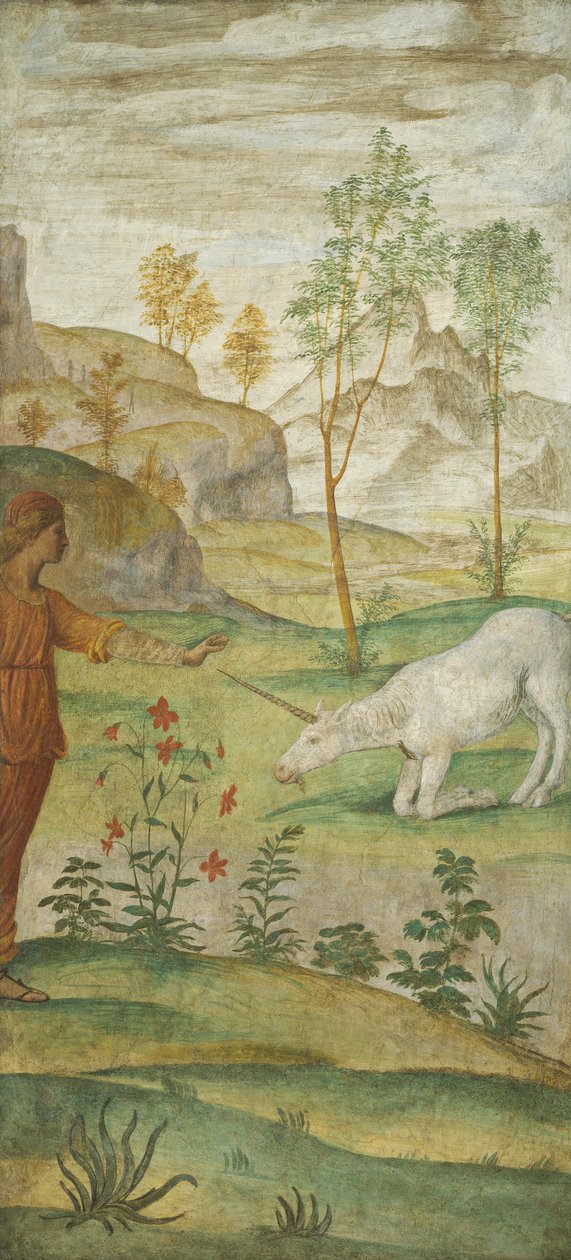Procris és az Unikornis alkotó: Bernardino Luini