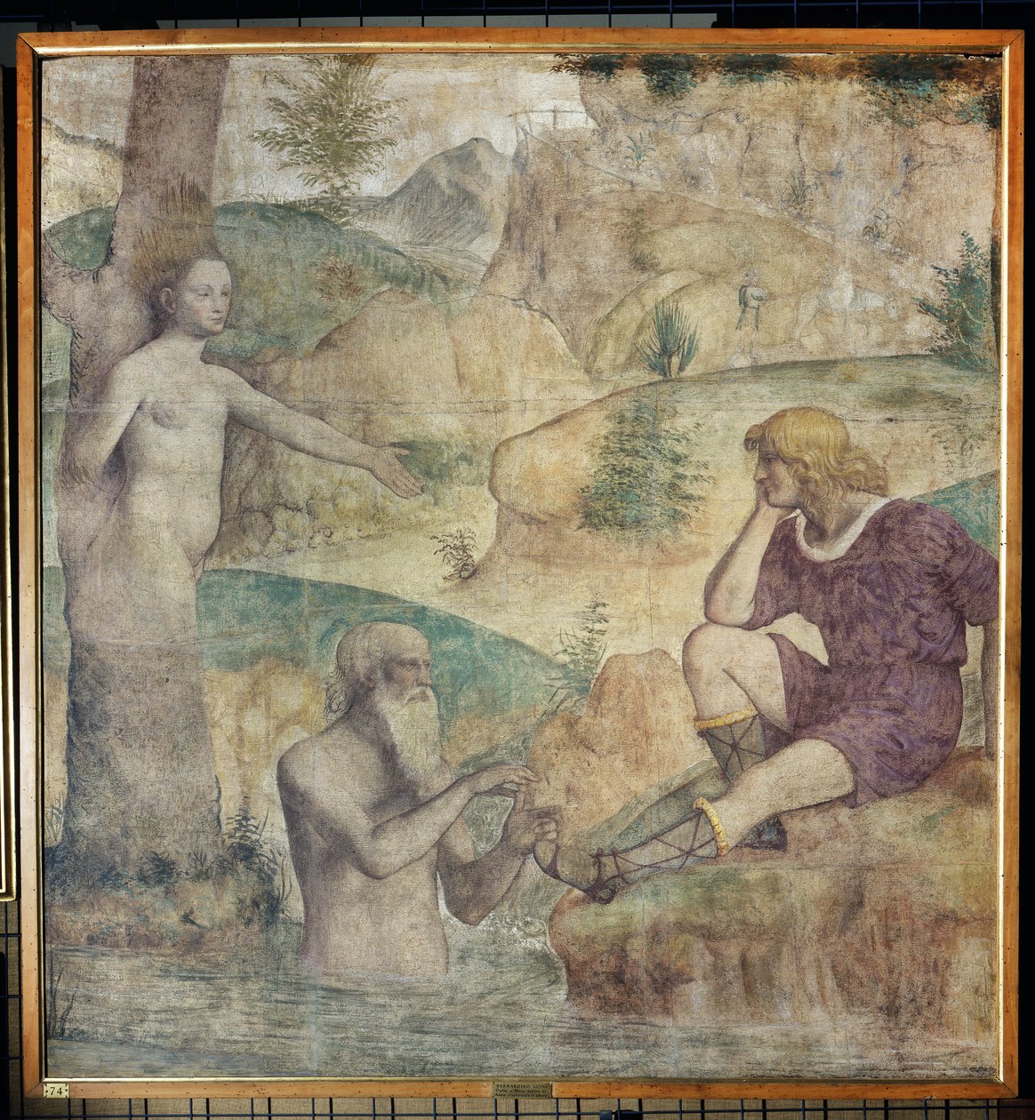 Driope és Tavaiano súlyos konzulátusa, 1514 körül (vásznon hordott leválasztott freskó) alkotó: Bernardino Luini