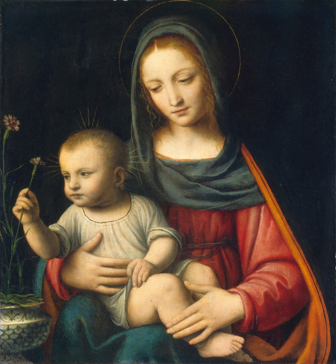 A szegfű Madonnája alkotó: Bernardino Luini
