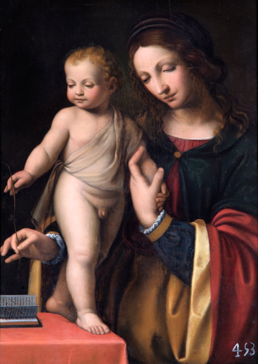 Szűz az álló gyermekkel (olaj nyárfatáblán) alkotó: Bernardino Luini