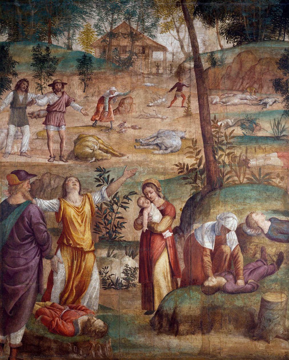 Az elsőszülött halála, Bernardino Luini (kb. 1480-kb. 1532), fára átvitt freskó, 211x169 cm. alkotó: Bernardino Luini