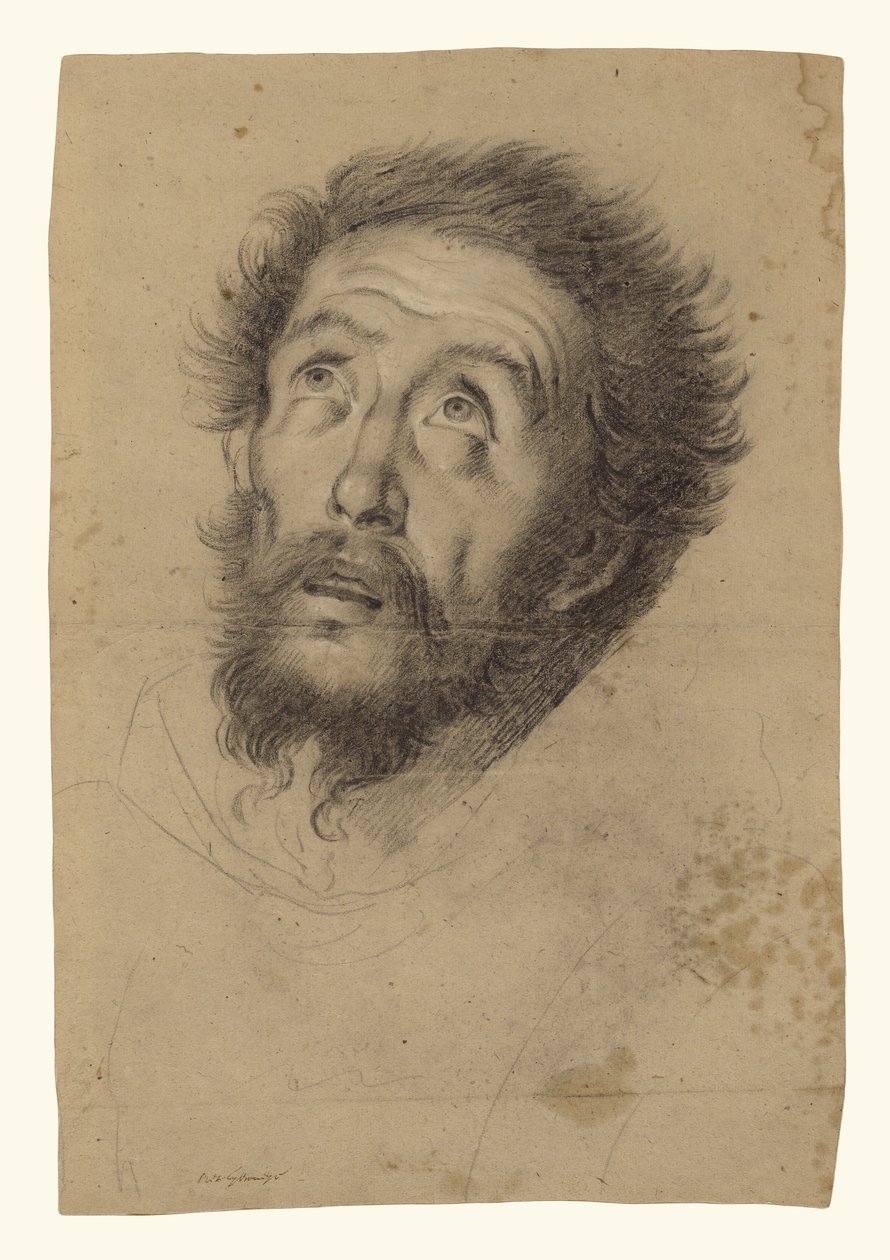 Szent Ferenc feje (recto); tanulmányok Szent Ferenc fejéről, egy öregember fejéről és két jobb kézről (verso) alkotó: Bernardo Strozzi