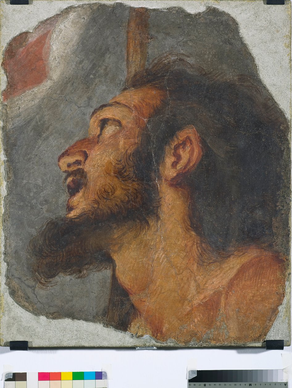 Keresztelő Szent János feje Leválasztott freskótöredék, 1622 alkotó: Bernardo Strozzi