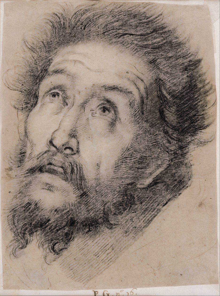 Tanulmány Assisi Szent Ferencnek a keresztet imádva alkotó: Bernardo Strozzi