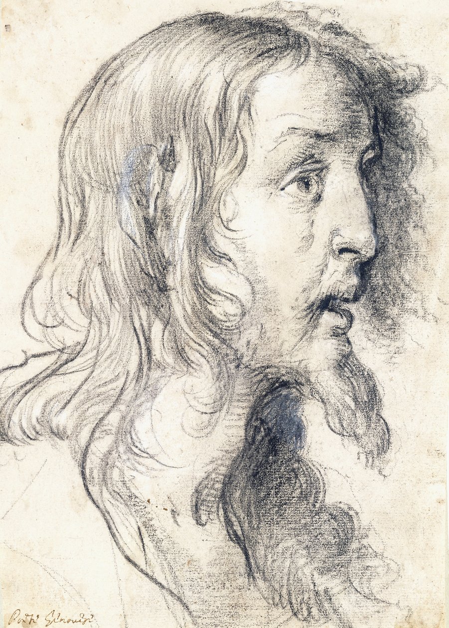Krisztus feje profilban jobbra, alkotó: Bernardo Strozzi